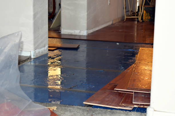 Professional Basement Flood Cleanup technician working in D Lo, MS